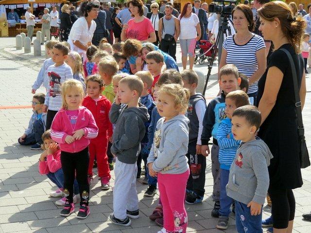 Megyei Közfoglalkoztatási Kiállítás 050